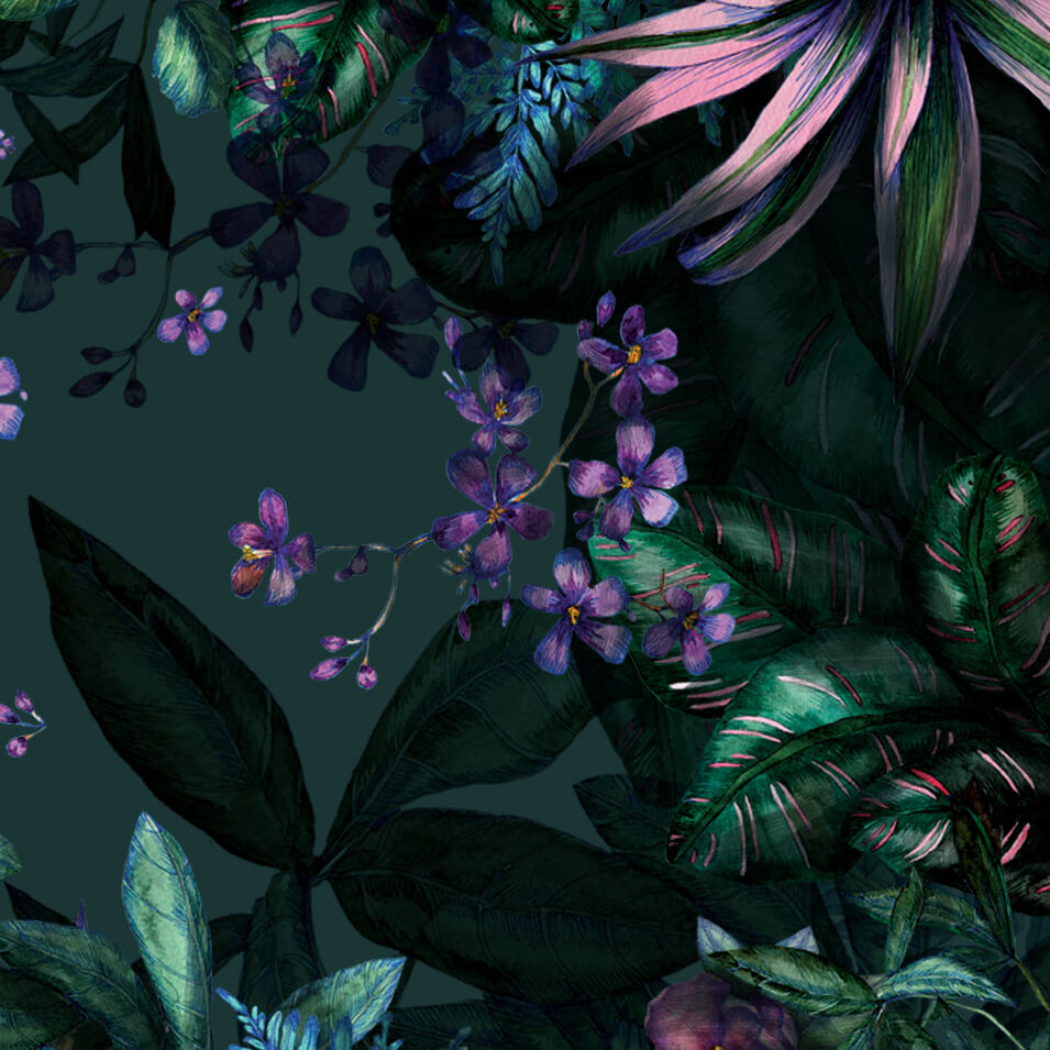 Discover album cover